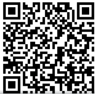 QR Code Consulta Online